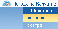 Мильково. Погода на сегодня.